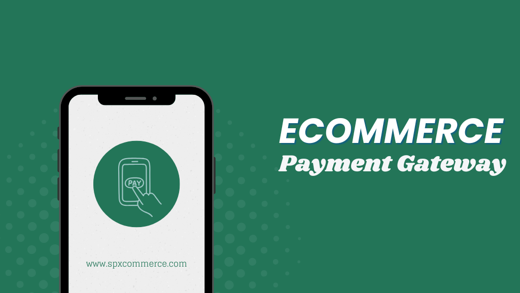 Ecommerce Payment Gateway