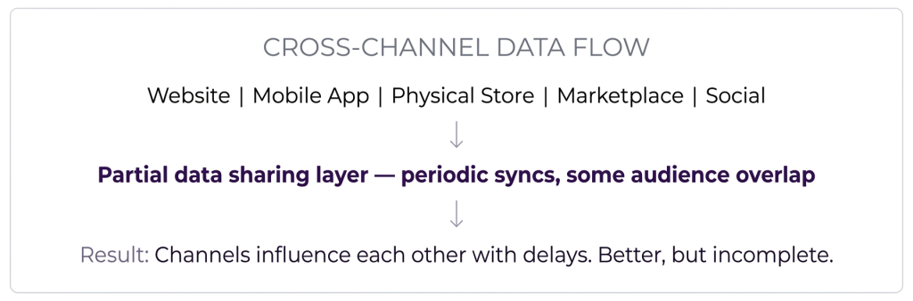 Cross Channel Visualization Omnichannel vs Multichannel vs Cross-Channel: Key Differences
