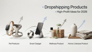 High Porfit Dropshipping Products to Sell